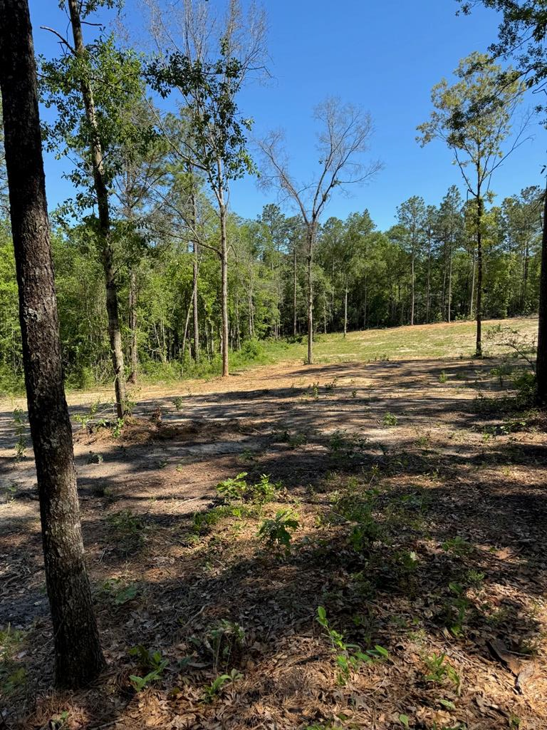 619 Lakeside Dr., Carriere, MS 39426 - #1