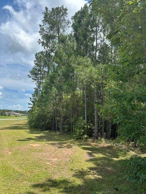 0 Bell Tower Parkway, Carriere, MS 39416 - #3