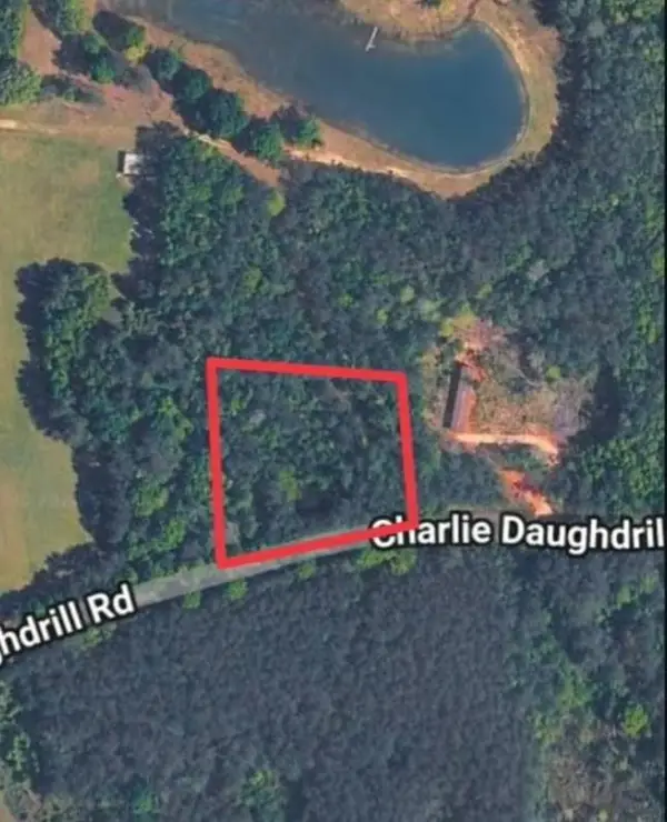 1 acre Charlie Daughdrill Road, Carriere, MS 39560
