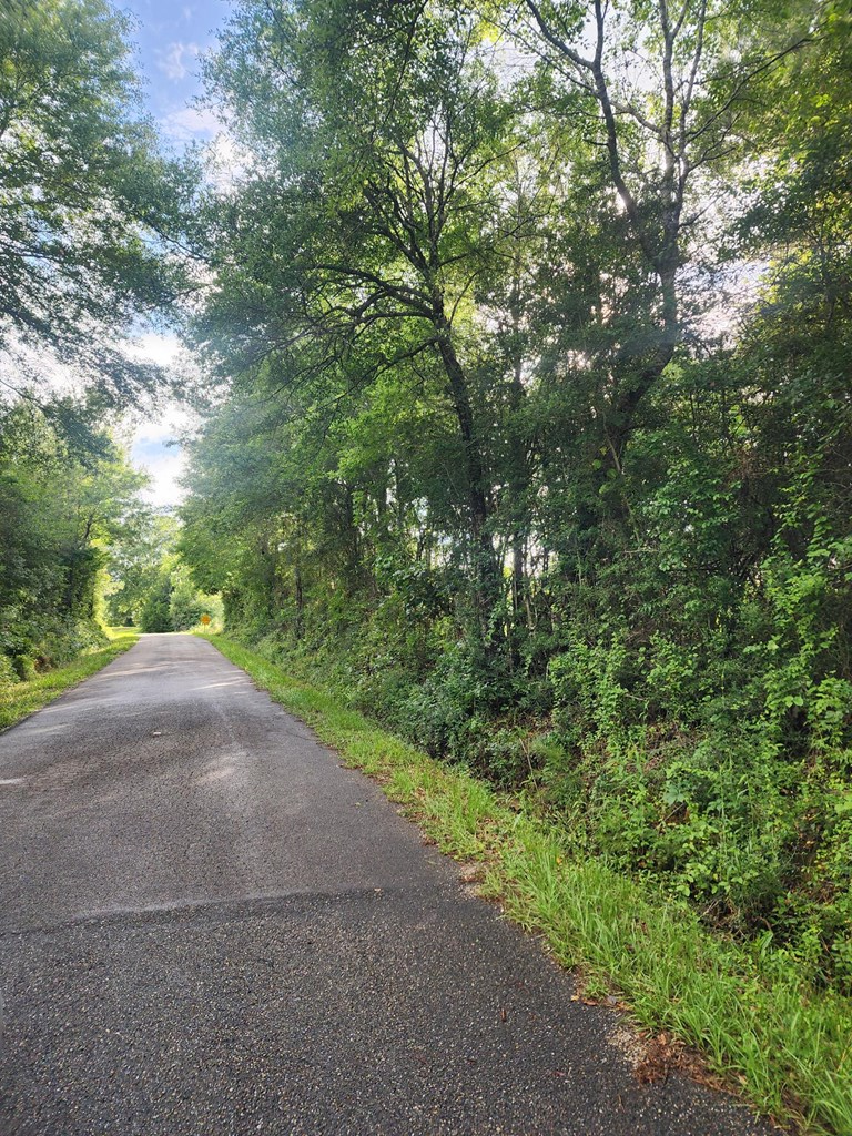 1 acre Charlie Daughdrill Road, Carriere, MS 39560 - #3