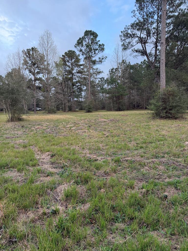19 George Wise Road, Carriere, MS 39466