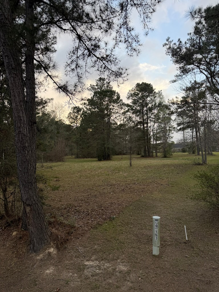 19 George Wise Road, Carriere, MS 39466 - #3