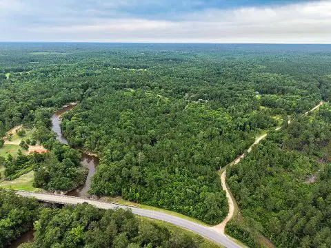 14+/- AC Lazy Wolf Cove, Poplarville, MS 39470 - #1