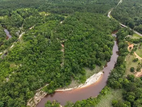 14+/- AC Lazy Wolf Cove, Poplarville, MS 39470 - #2
