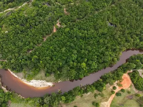14+/- AC Lazy Wolf Cove, Poplarville, MS 39470 - #3