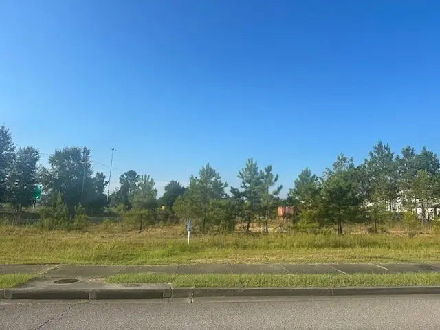 NHN Cooper Road, Picayune, MS 39466 - #3