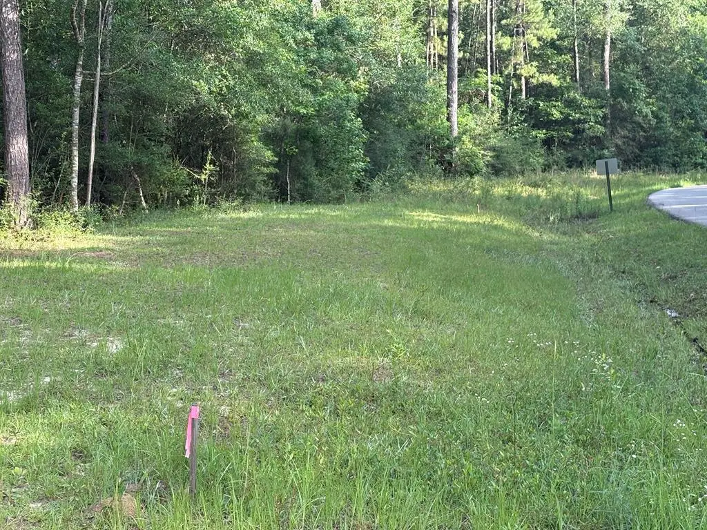 249 Timberlane Drive, Picayune, MS 39466 - #1