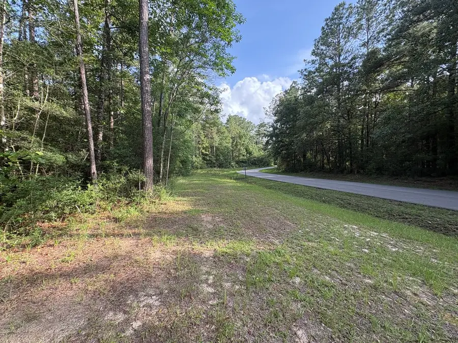 249 Timberlane Drive, Picayune, MS 39466 - #2