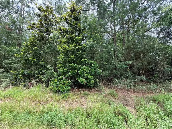 0 5th St, Bay St Louis, MS 39520