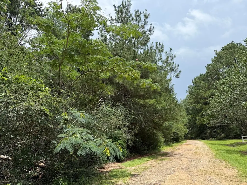 NHN Misty Lane, Lumberton, MS 39455 - #1