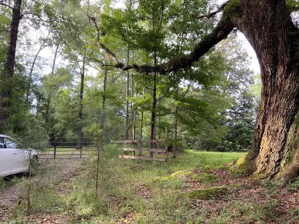-00 Curlie Seal Rd, Picayune, MS 39466