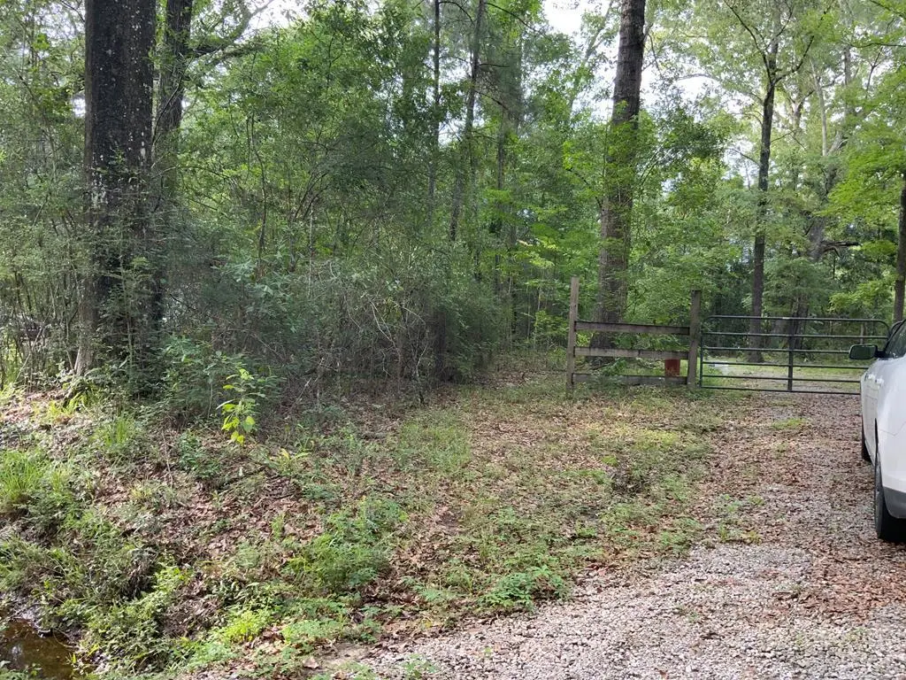-00 Curlie Seal Rd, Picayune, MS 39466 - #1