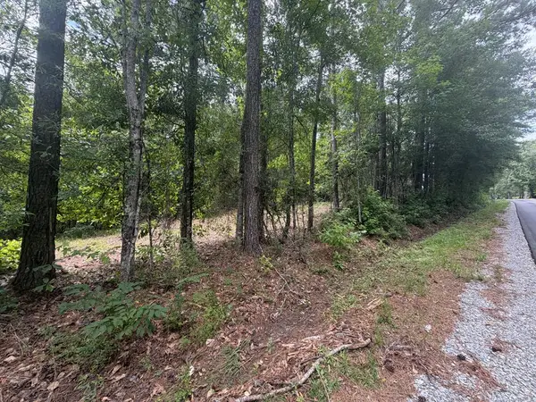 NHN Soners Chapel Road, Carriere, MS 39426