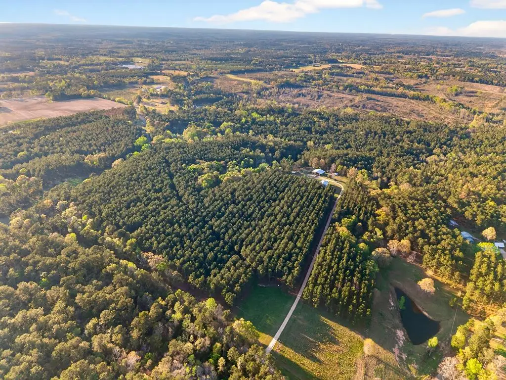 0 Gravel Pit Rd, Sandy Hook, MS 39478 - #1