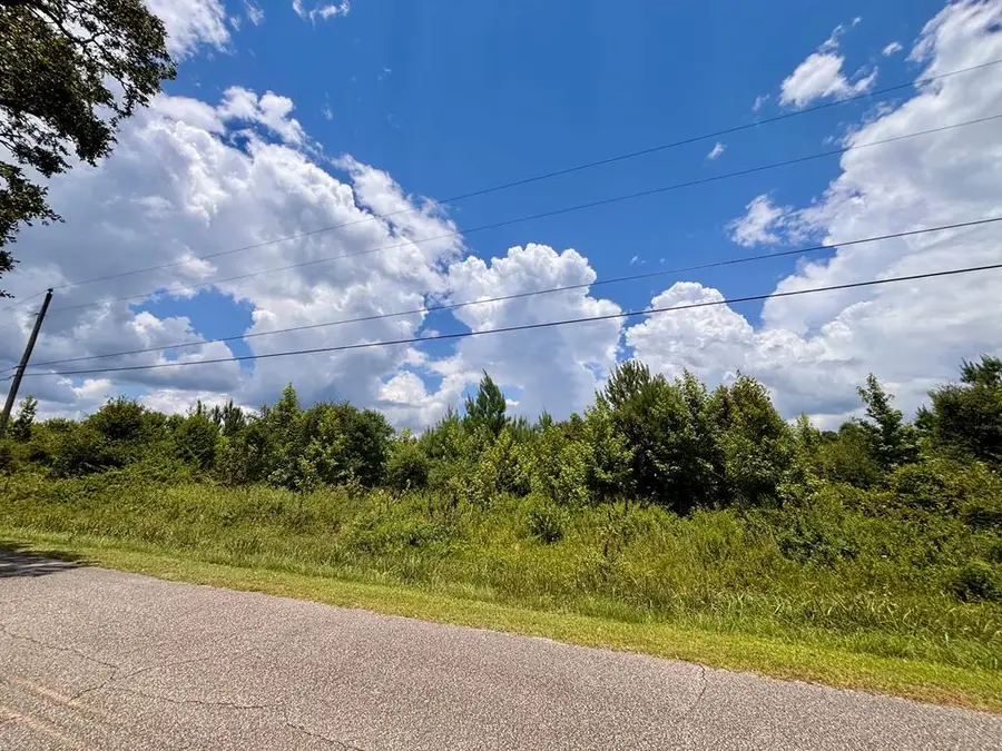 NHN Morgan Seal/Jessie Lane, Picayune, MS 39466 - #2