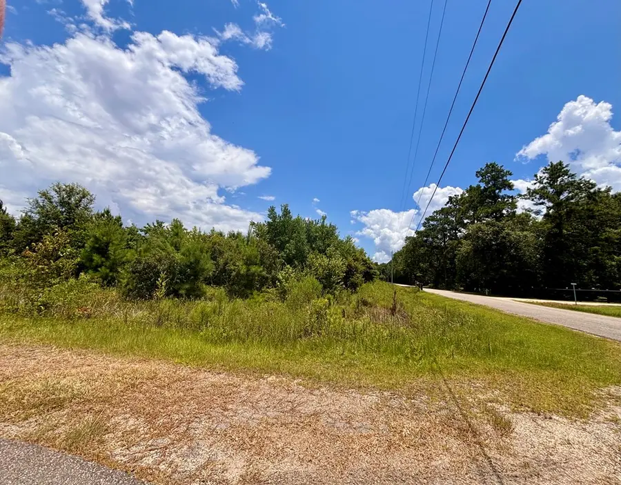 NHN Morgan Seal/Jessie Lane, Picayune, MS 39466 - #3