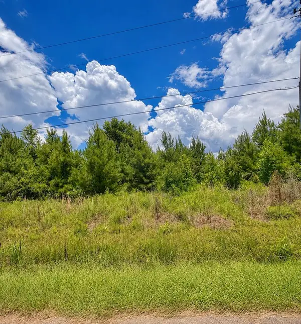 NHN Morgan Seal Rd, Picayune, MS 39466