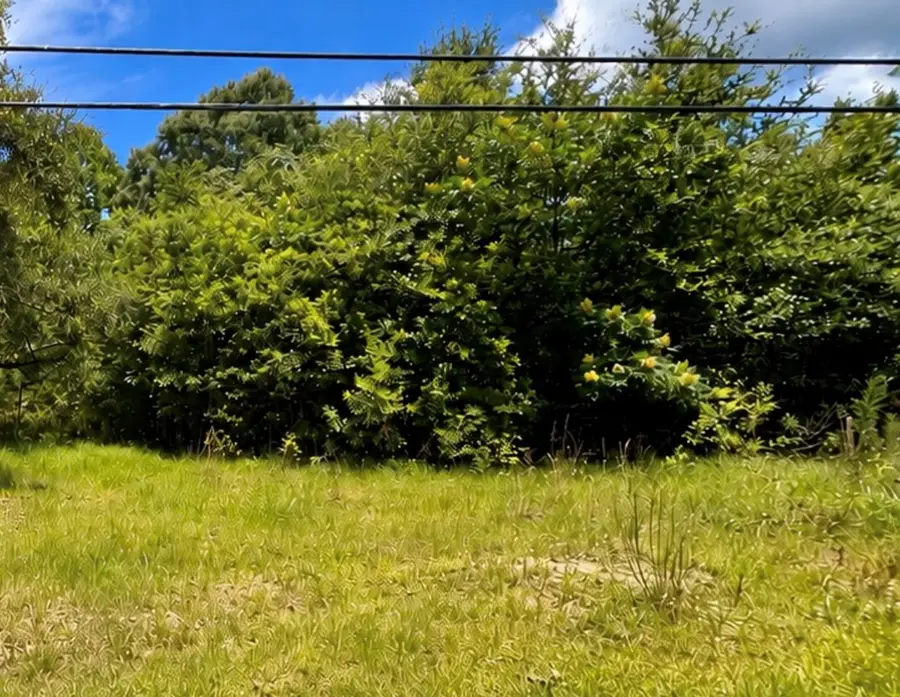 NHN Luther Davis Rd, Picayune, MS 39466 - #2