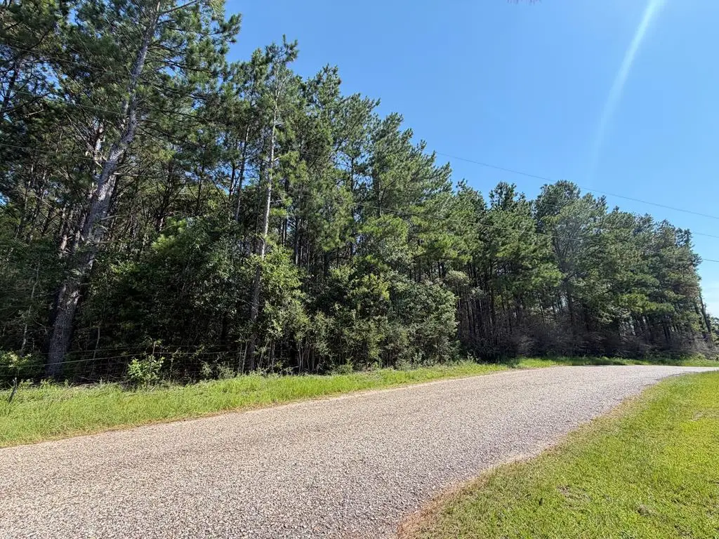 187 Redfish Road, Poplarville, MS 39470 - #1