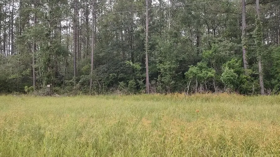 NHN MS 43 N, Picayune, MS 39466 - #3