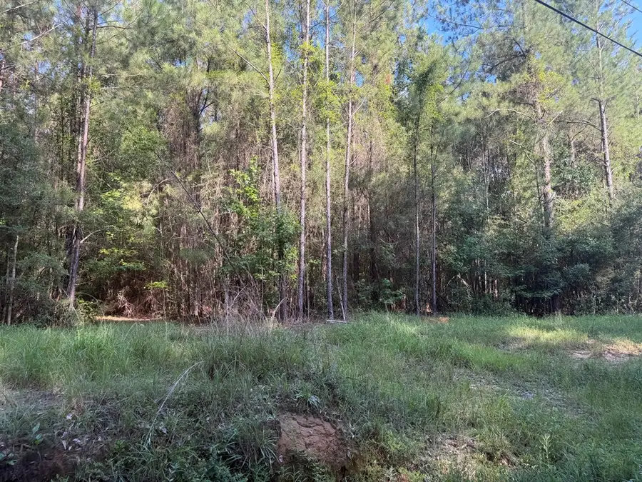 128 Lovell Johnson Road, Picayune, MS 39466 - #3