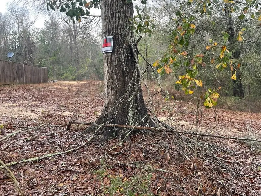 205 & 207 Rue St Germaine, Carriere, MS 39426 - #3