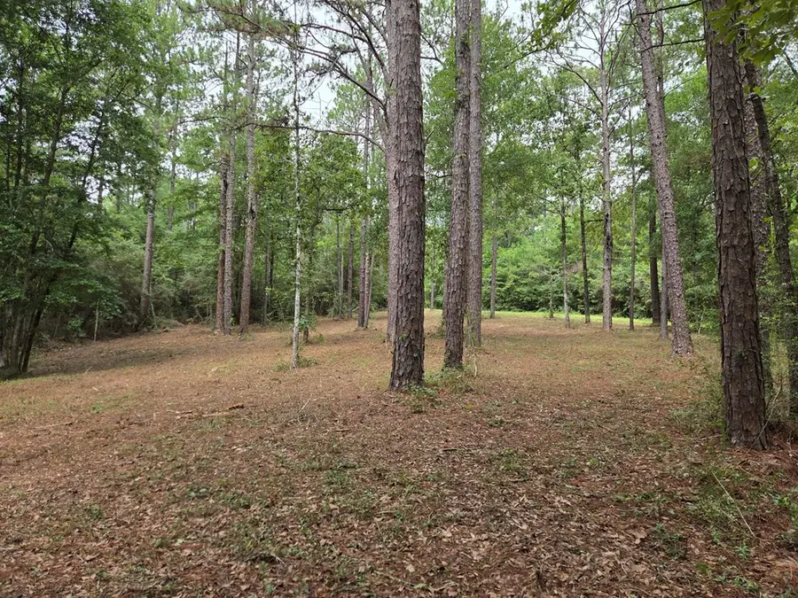 05 Safe Haven Dr., Poplarville, MS 39470 - #2