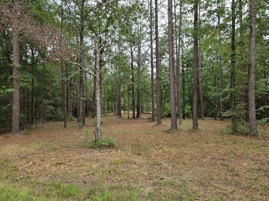 05 Safe Haven Dr., Poplarville, MS 39470 - #3