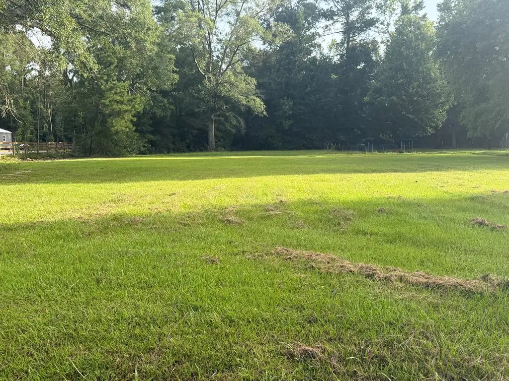 NHN W Sycamore Road, Picayune, MS 39466 - #1