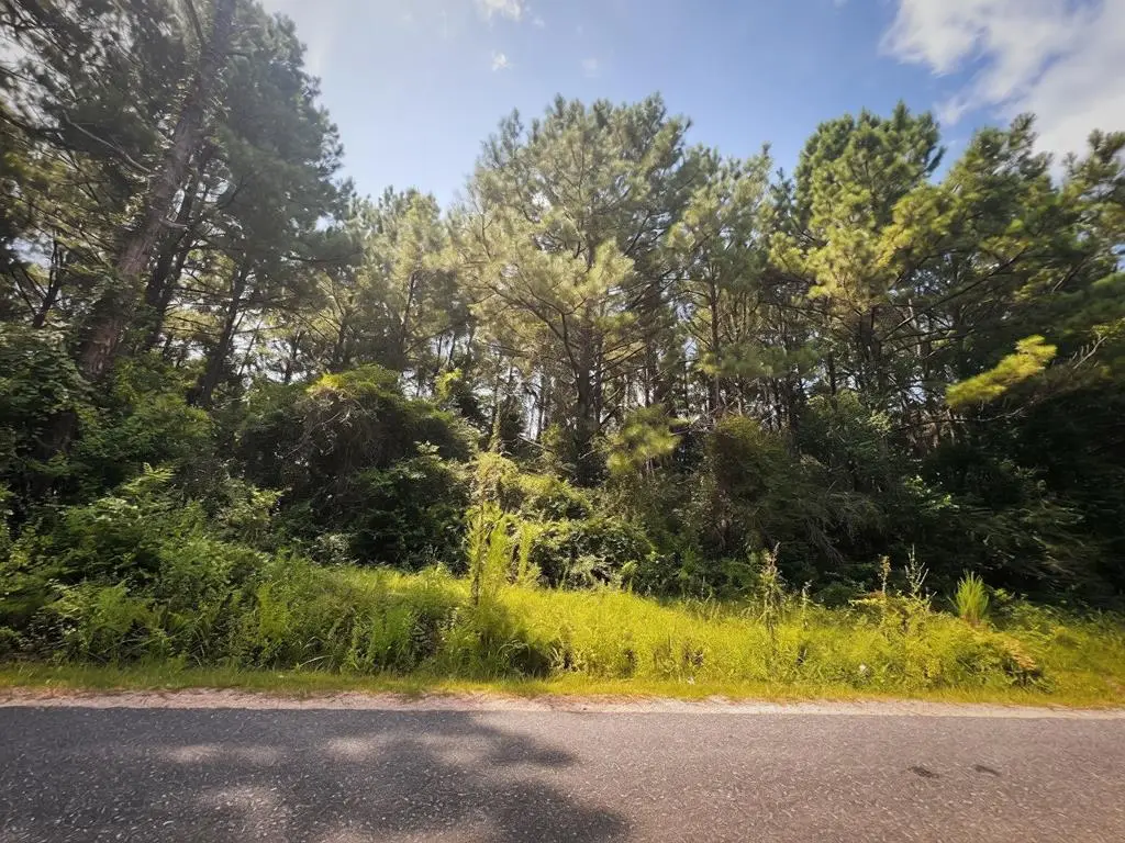 NHN Catfish Drive, Lumberton, MS 39455 - #1