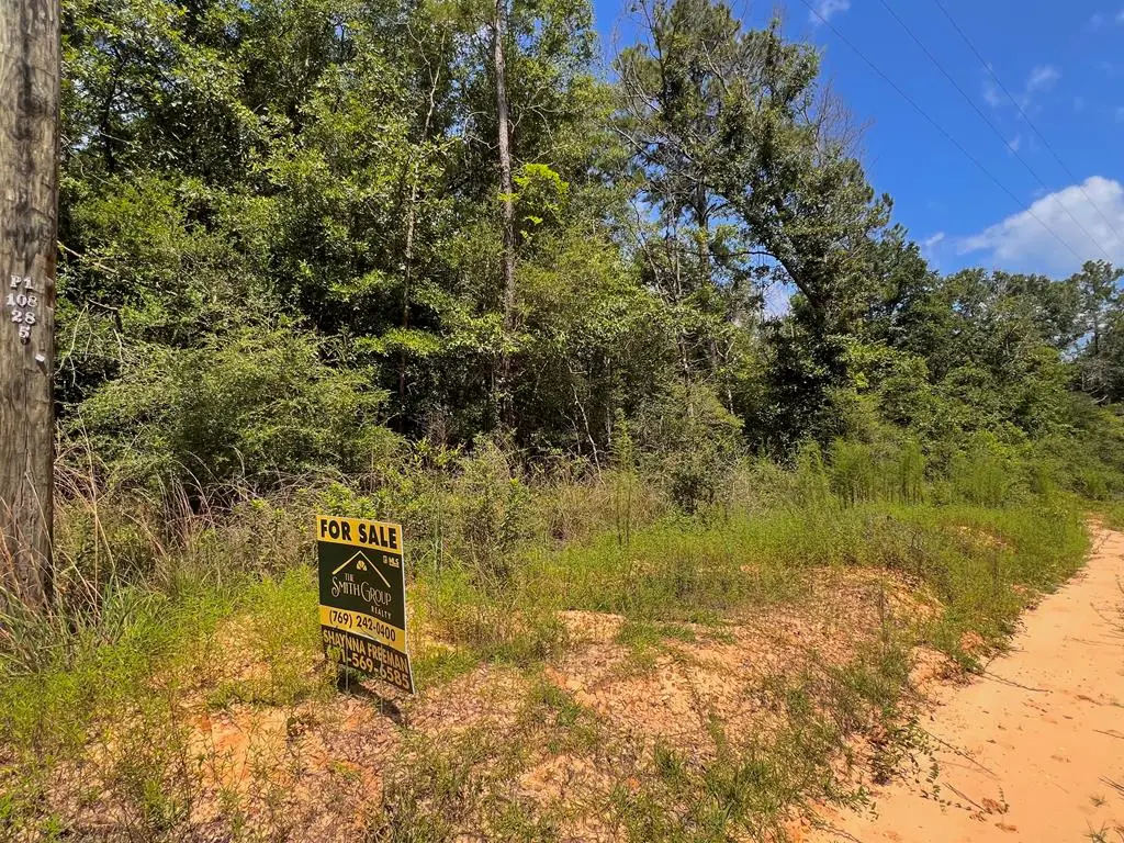 NHN Scottsdale Street, Lumberton, MS 39455 - #1