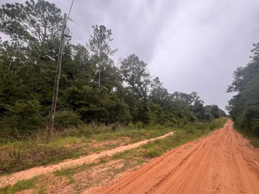 NHN Scottsdale Street, Lumberton, MS 39455 - #2