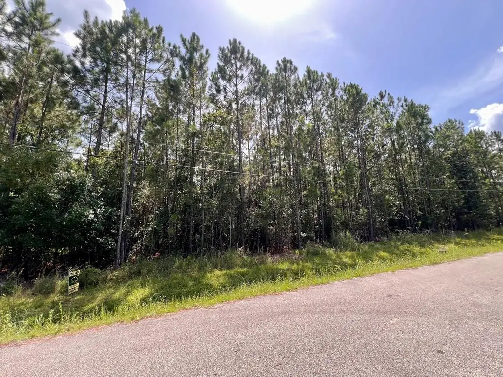 NHN Magnolia Street, Waveland, MS 39576 - #1