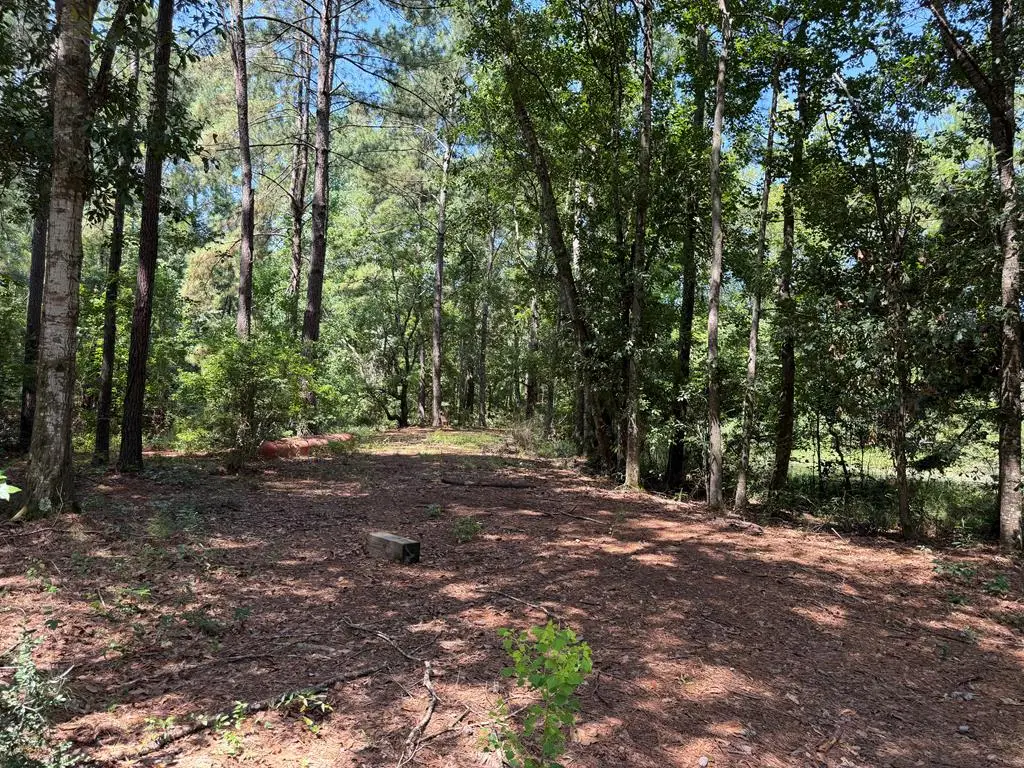 11 Skipper Road, Picayune, MS 39466 - #1
