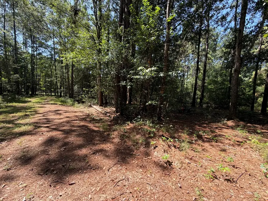 11 Skipper Road, Picayune, MS 39466 - #3