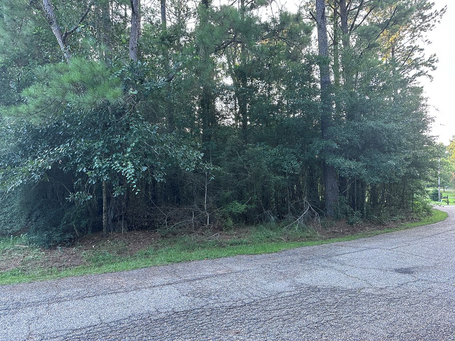00 Covered Bridge Road, Carriere, MS 39426 - #2