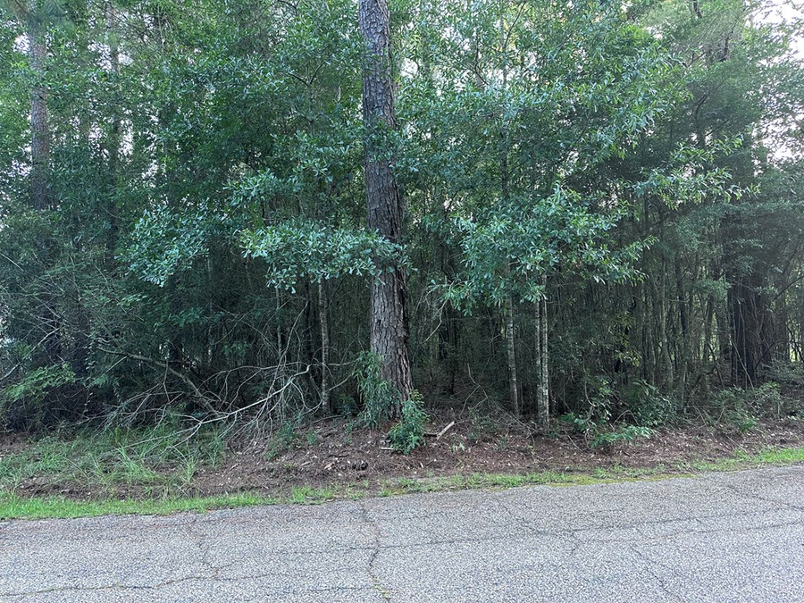 00 Covered Bridge Road, Carriere, MS 39426 - #3