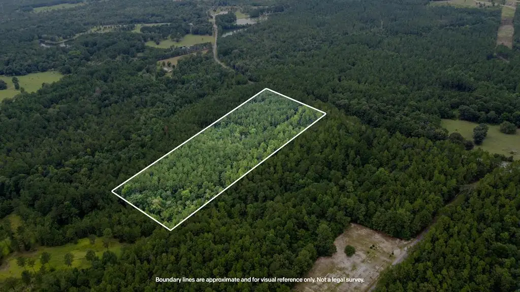NHN Silver Run-Progress Rd, Perkinston, MS 39573 - #1