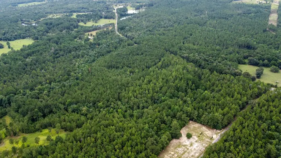 NHN Silver Run-Progress Rd, Perkinston, MS 39573 - #2