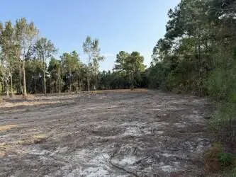 Lot 13/14 George Wise Road, Carriere, MS 39426 - #1