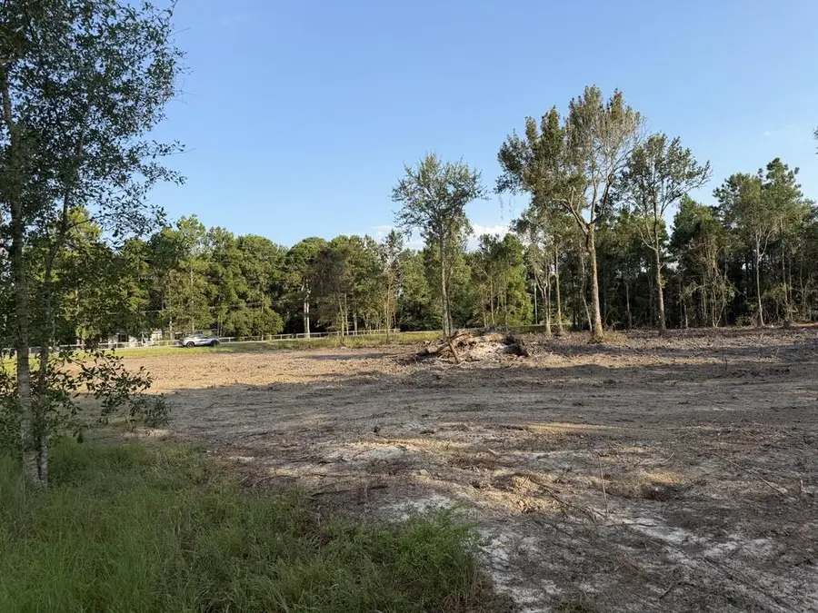 Lot 13/14 George Wise Road, Carriere, MS 39426 - #2