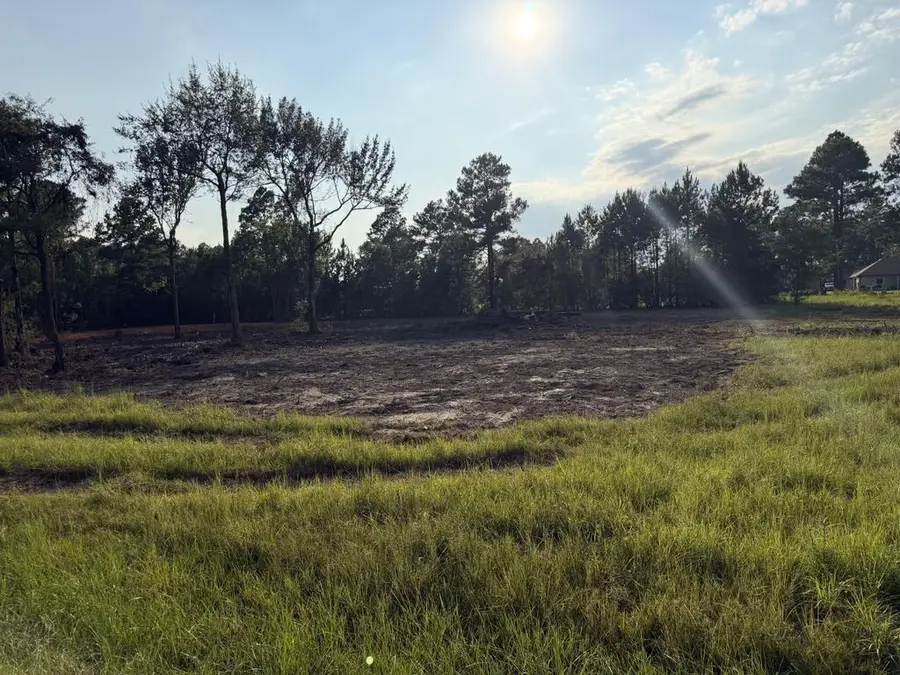Lot 13/14 George Wise Road, Carriere, MS 39426 - #3