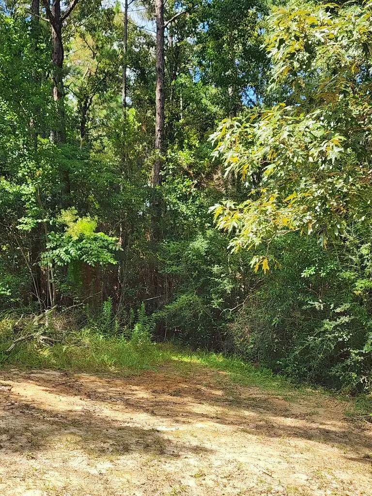 TBD McGregor Road, Vancleave, MS 39565 - #1