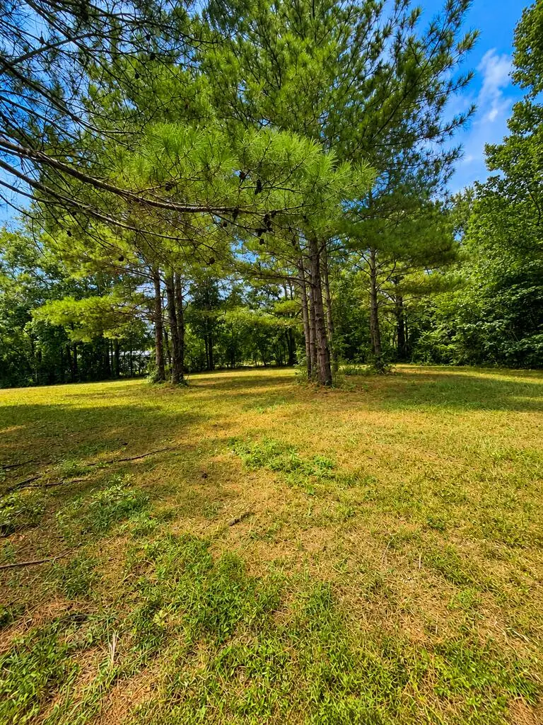 NHN Henleyfield Mcneil, Carriere, MS 39426 - #1