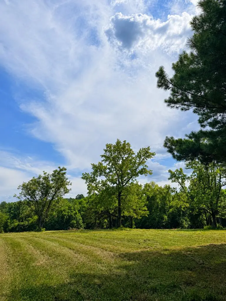 NHN Henleyfield Mcneil, Carriere, MS 39426 - #2