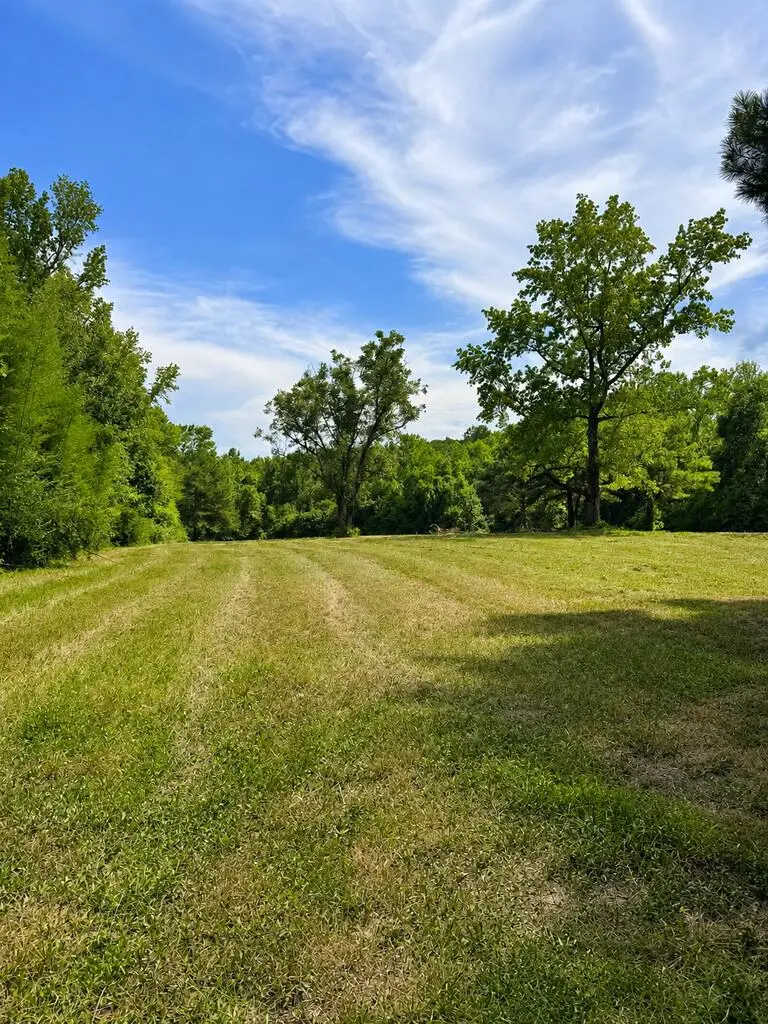 NHN Henleyfield Mcneil, Carriere, MS 39426 - #3
