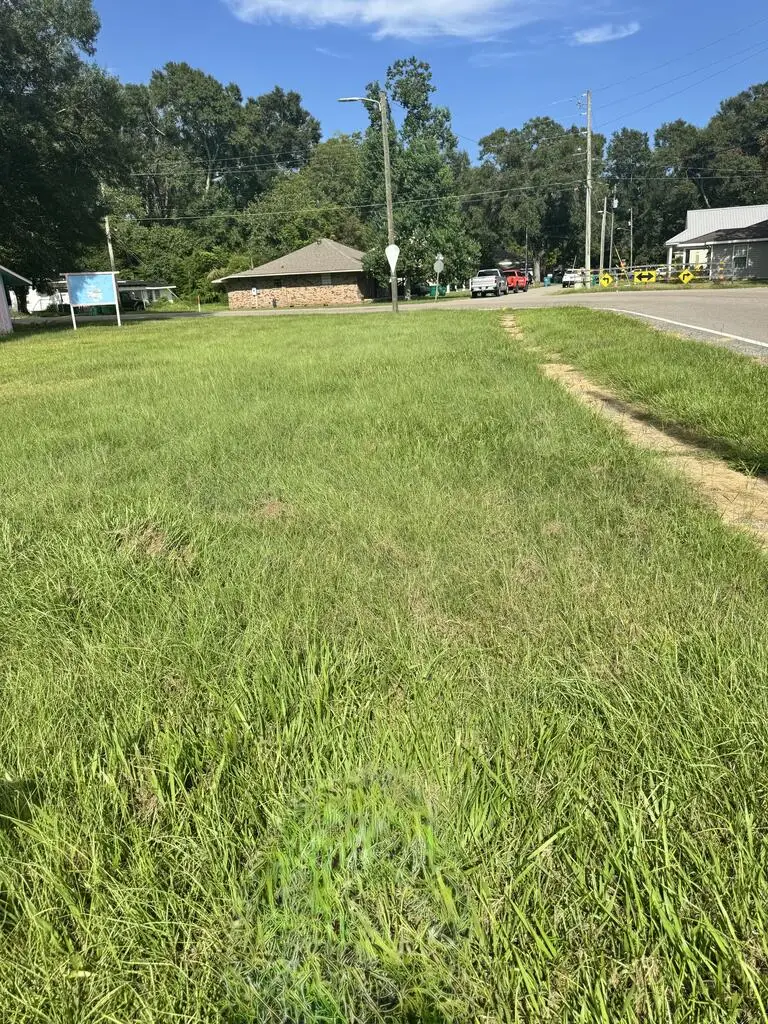 0 Palestine, Picayune, MS 39466 - #1