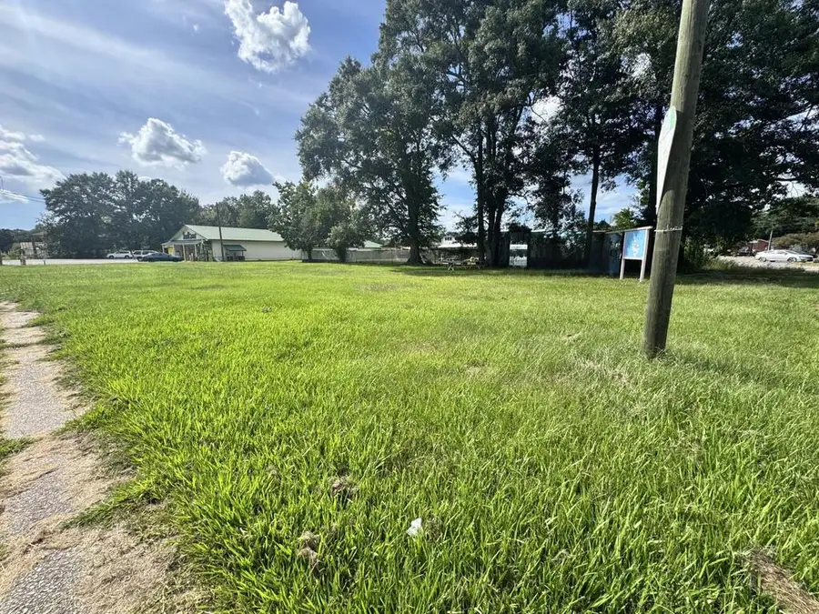 0 Palestine, Picayune, MS 39466 - #3