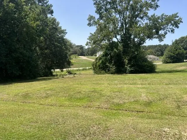 30 Post Oak Dr, Carriere, MS 39426 - #2