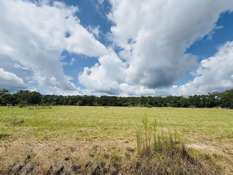 25 Rack Rd Tract 5, Picayune, MS 39466 - #3